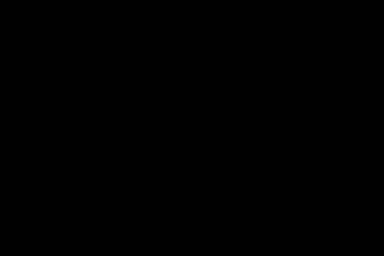 БЕЛДЖИМ БЛЕК/BELGIUM BLACK
