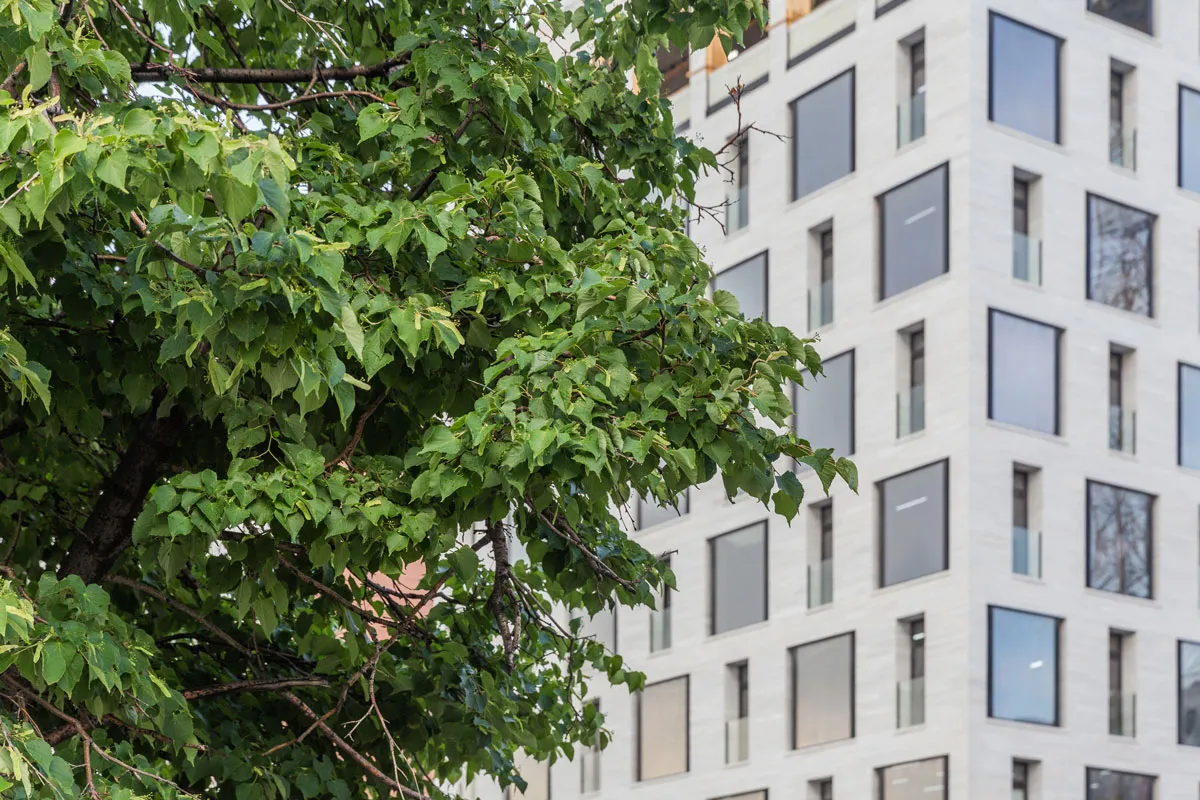 RC "Savvin River Residence"